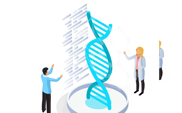 司法亲子鉴定的手续及出结果的时间