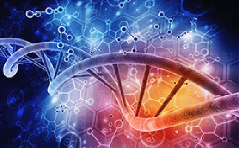 泰安能做无创胎儿亲子鉴定吗？什么时候做比较好？