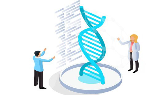 泰安亲子鉴定多少费用？可以做同卵双胎亲子鉴定吗？